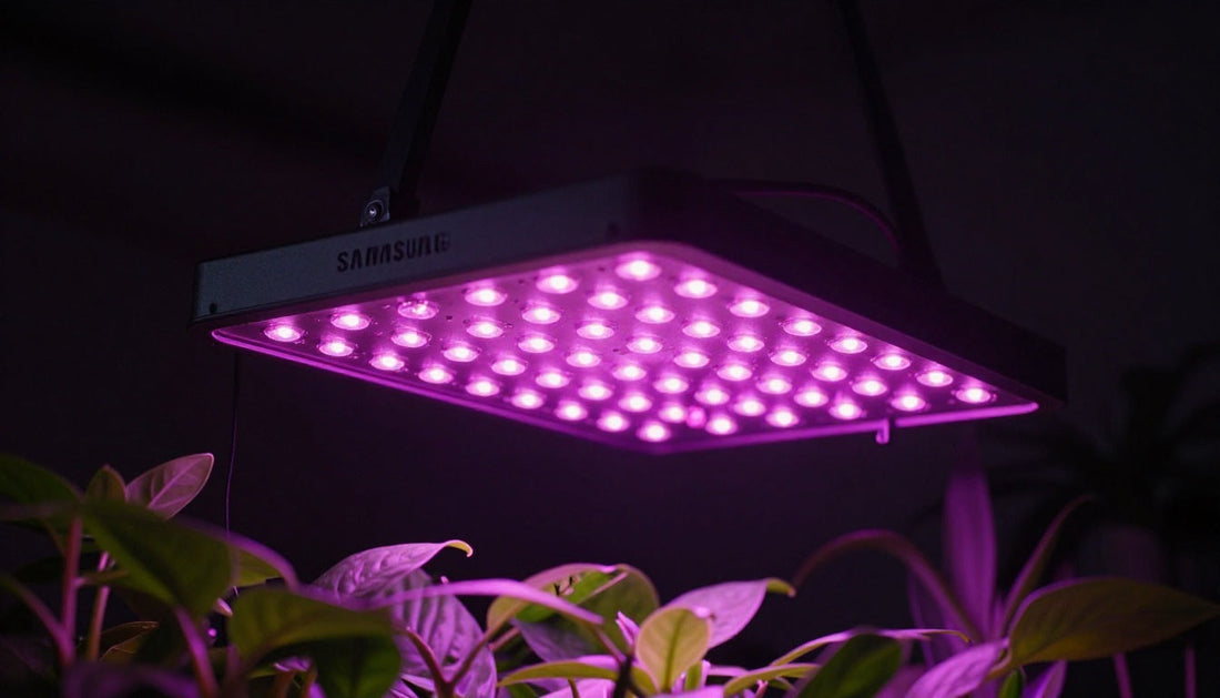 Best LED Diodes for Growing: Choose the Right Fixture